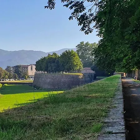 Marilu's Home: Behind San Martino Lucca